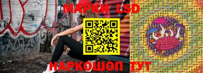 Альфа ПВП Сланцы